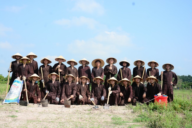 Planting trees in Tay Ninh of the monks of Hoang Phap Pagoda