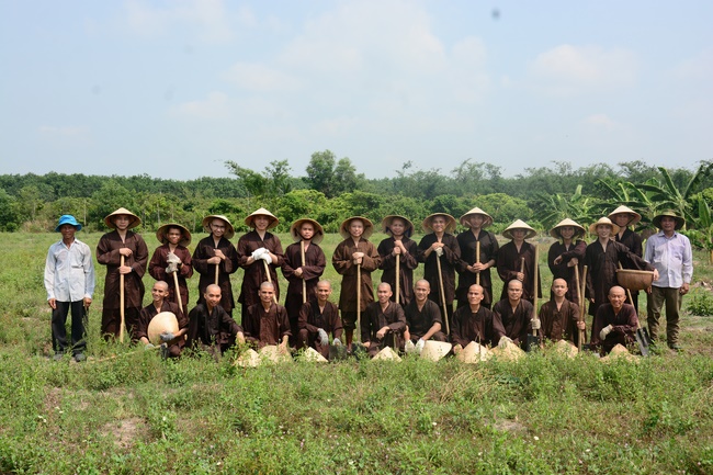 Planting trees in Tay Ninh of the monks of Hoang Phap Pagoda