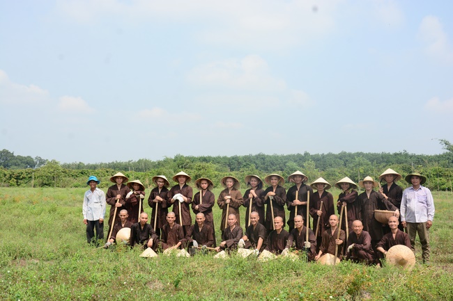 Planting trees in Tay Ninh of the monks of Hoang Phap Pagoda