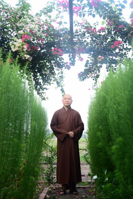 Planting trees in Tay Ninh of the monks of Hoang Phap Pagoda