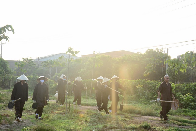Planting trees in Tay Ninh of the monks of Hoang Phap Pagoda