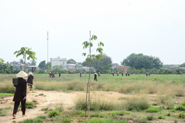 Planting trees in Tay Ninh of the monks of Hoang Phap Pagoda