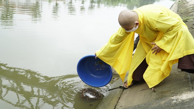 Releasing creatures in Thanh Hoa