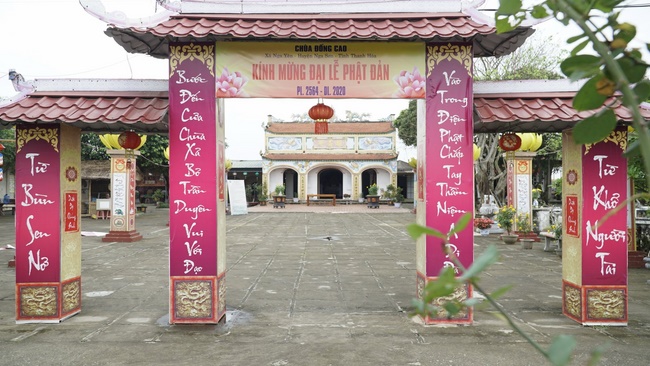 Releasing creatures in Thanh Hoa