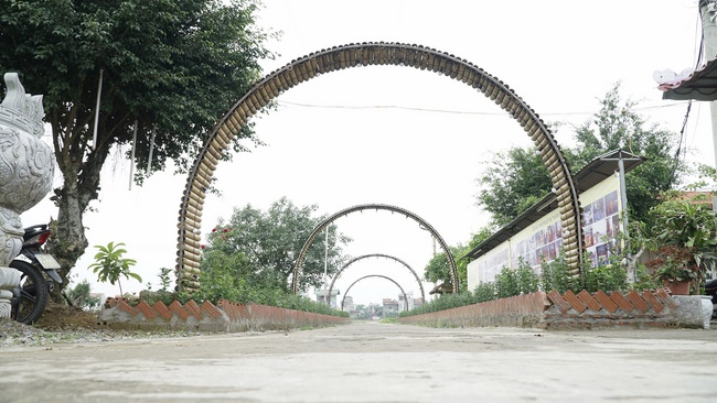 Releasing creatures in Thanh Hoa