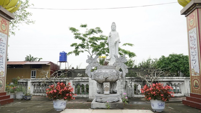 Releasing creatures in Thanh Hoa