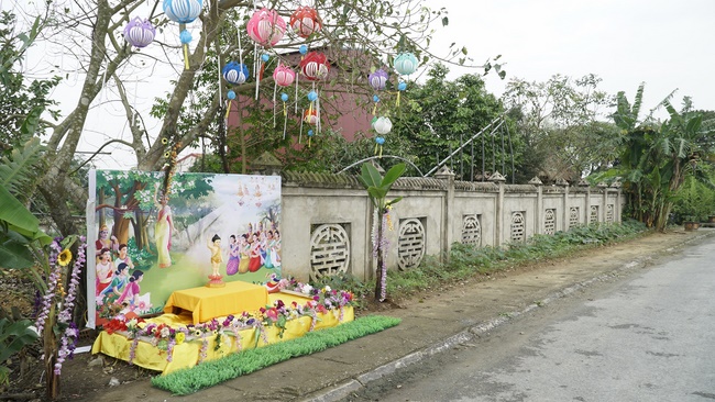 Releasing creatures in Thanh Hoa