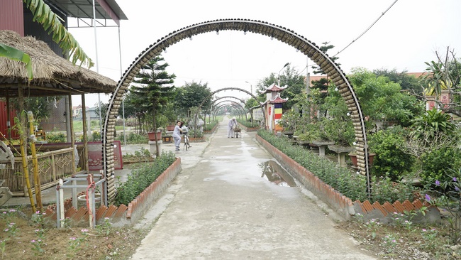 Releasing creatures in Thanh Hoa