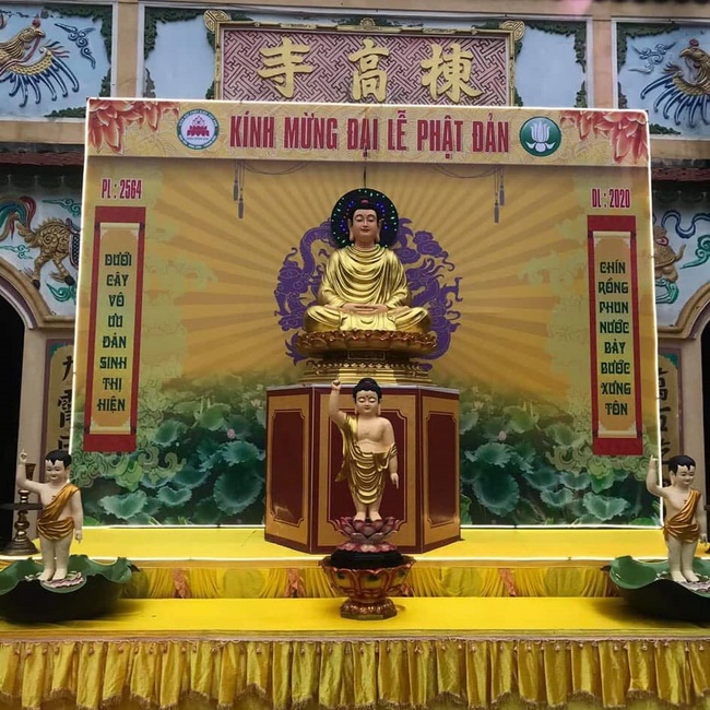 Releasing creatures in Thanh Hoa