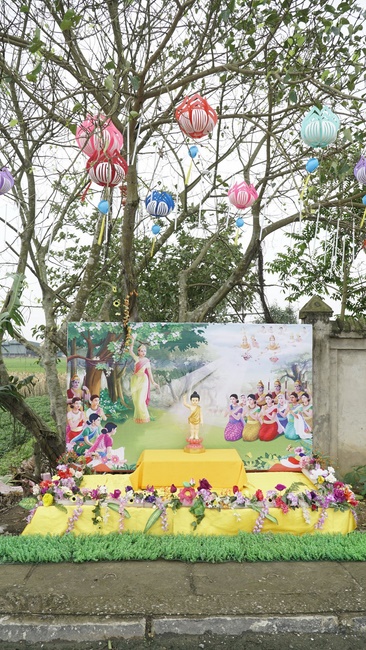 Releasing creatures in Thanh Hoa