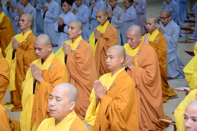 Repentant Rite on March 14th, the rat year