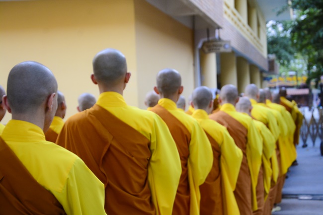 Repentant Rite on March 14th, the rat year