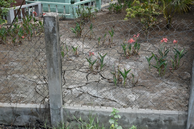 Offering a saltwater filter and a transformer to Quoc Thoi Pagoda in Ben Tre.