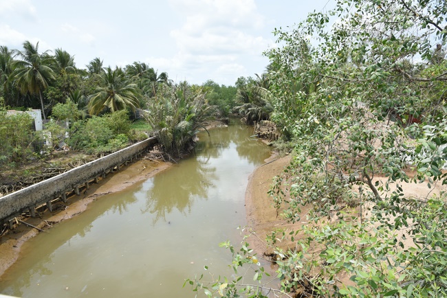 Offering a saltwater filter and a transformer to Quoc Thoi Pagoda in Ben Tre.