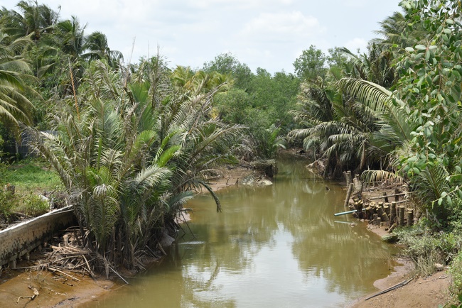 Offering a saltwater filter and a transformer to Quoc Thoi Pagoda in Ben Tre.