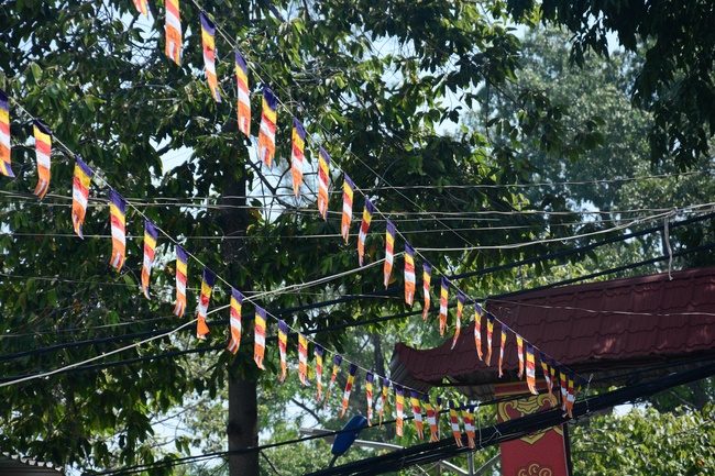 Preparing for the Great Ceremony of Buddha's Birthday (part 1)