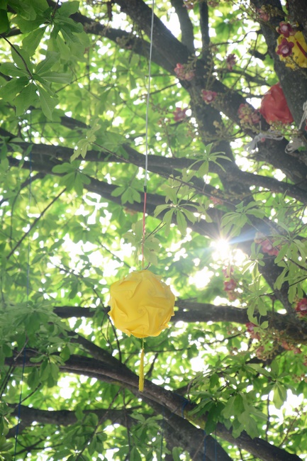 Preparing for the Great Ceremony of Buddha's Birthday (part 1)