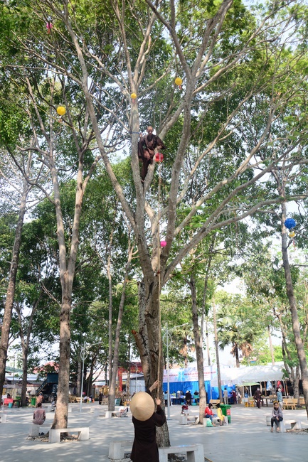 Preparing for the Great Ceremony of Buddha's Birthday (part 1)