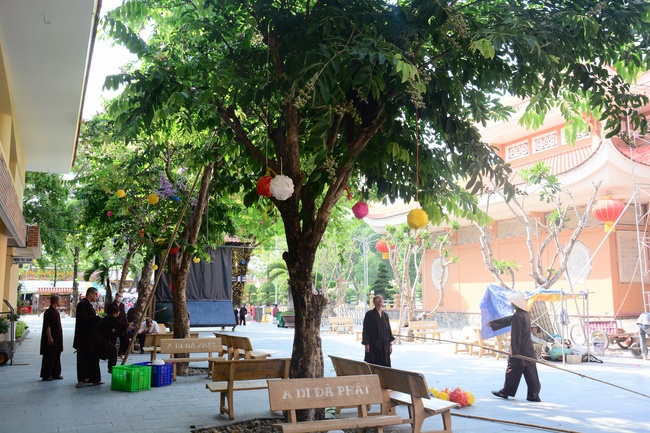 Preparing for the Great Ceremony of Buddha's Birthday (part 1)