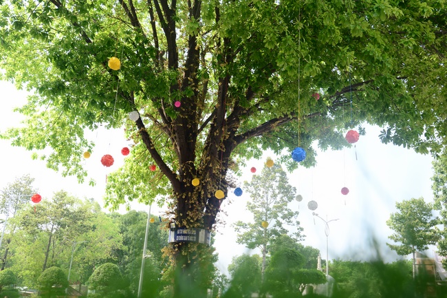 Preparing for the Great Ceremony of Buddha's Birthday (part 1)