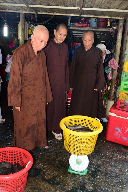 Freeing of creatures at Ca Lang ferry in Cu Chi