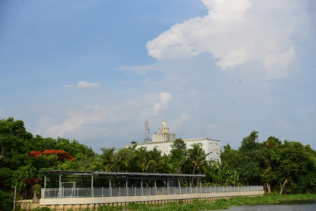 Freeing of creatures at Ca Lang ferry in Cu Chi