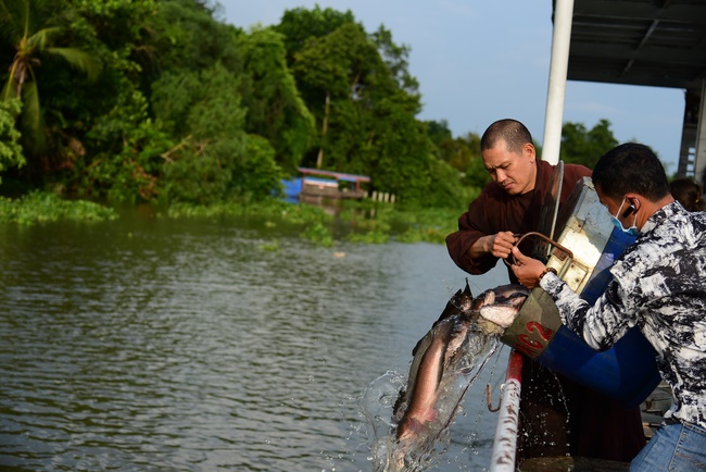 Freeing of creatures at Ca Lang ferry in Cu Chi