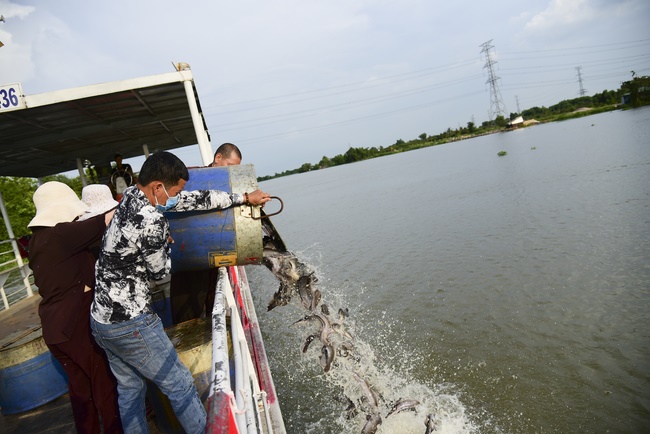 Freeing of creatures at Ca Lang ferry in Cu Chi
