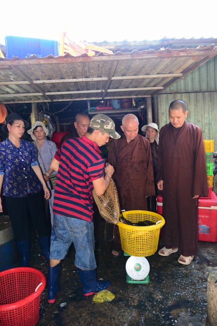 Freeing of creatures at Ca Lang ferry in Cu Chi