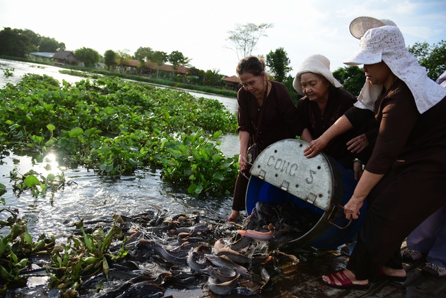 Freeing of creatures at Ca Lang ferry in Cu Chi