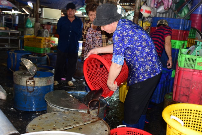 Freeing of creatures at Ca Lang ferry in Cu Chi