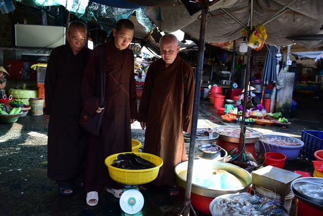 Freeing of creatures at Ca Lang ferry in Cu Chi