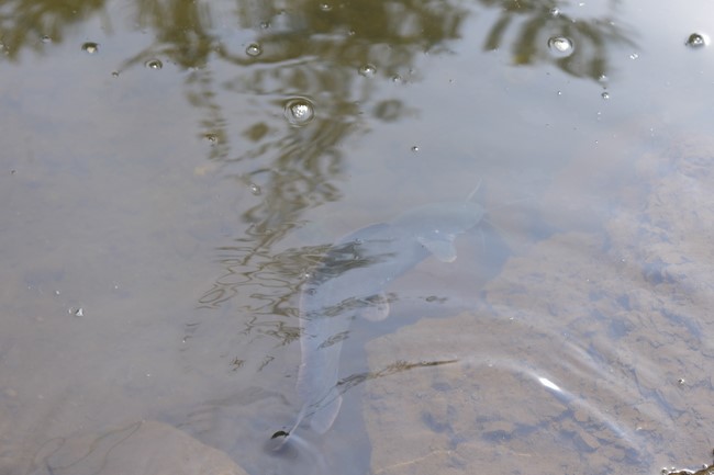 The charity trip in Binh Phuoc