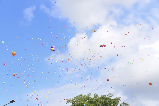 The Vesak Great Ceremony in 2020 at Hoang Phap Pagoda