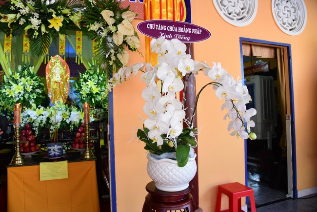 Viếng tang lễ cố Hòa thượng chùa Phật Bửu, Hóc Môn