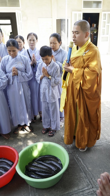 One-day Retreat at Dong Cao Pagoda.