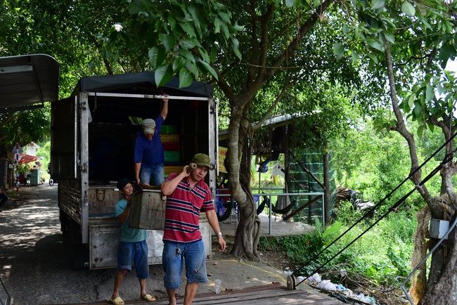 Releasing creatures and repentant ceremony at Minh Chat  ashram in Can Tho
