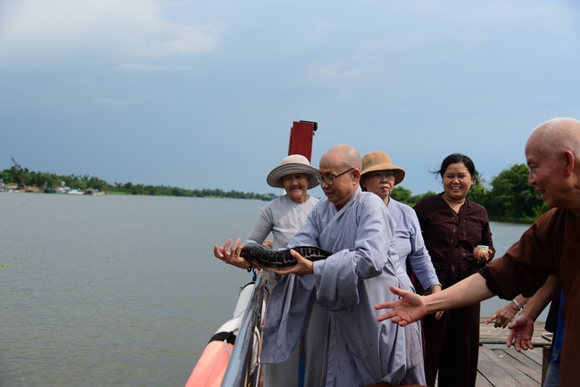 Releasing creatures and repentant ceremony at Minh Chat  ashram in Can Tho