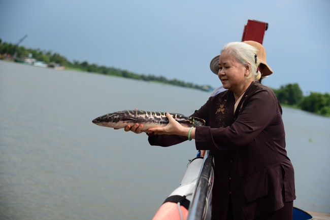 Releasing creatures and repentant ceremony at Minh Chat  ashram in Can Tho