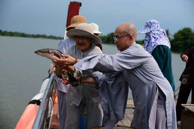 Releasing creatures and repentant ceremony at Minh Chat  ashram in Can Tho