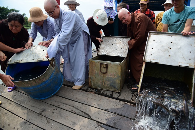 Releasing creatures and repentant ceremony at Minh Chat  ashram in Can Tho