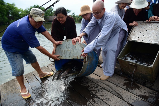 Releasing creatures and repentant ceremony at Minh Chat  ashram in Can Tho