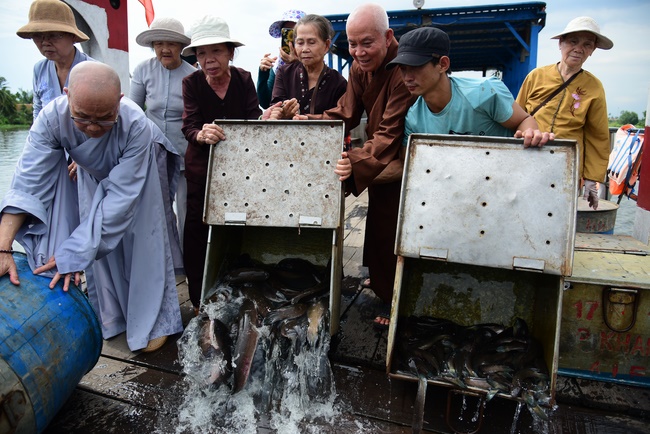 Releasing creatures and repentant ceremony at Minh Chat  ashram in Can Tho