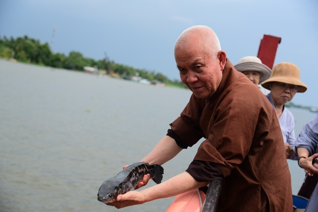 Releasing creatures and repentant ceremony at Minh Chat  ashram in Can Tho