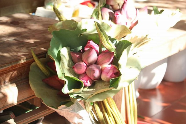 One-Day Retreat at Hoa Phuc Pagoda