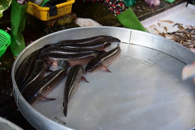 Offering money to build wells at Bao Phap Pagoda, Lam Dong