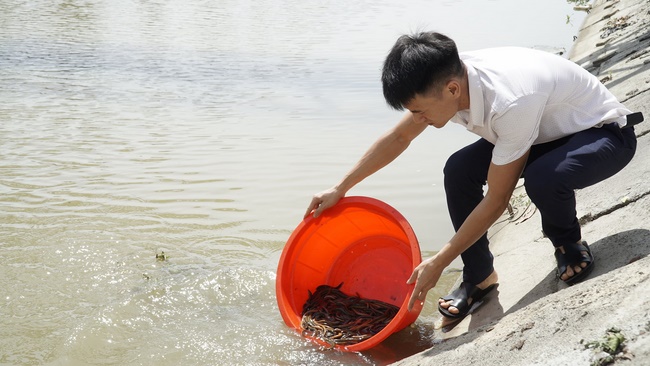 Charity of  Dong Cao pagoda