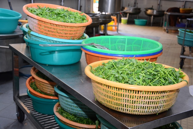 Children Retreat Titled ‘I Return to the Buddha’