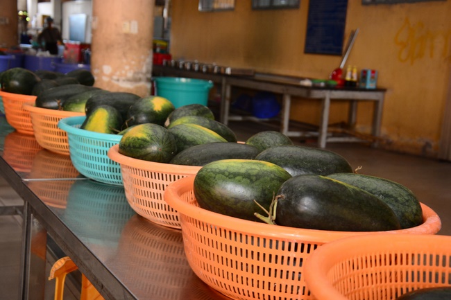 Children Retreat Titled ‘I Return to the Buddha’