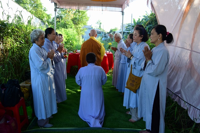 Liberating creatures at Binh My ferry and praying for peacefulness.